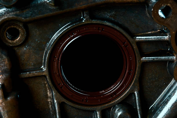 Oil seal TC plus - Fully elastomer coated rotary shaft